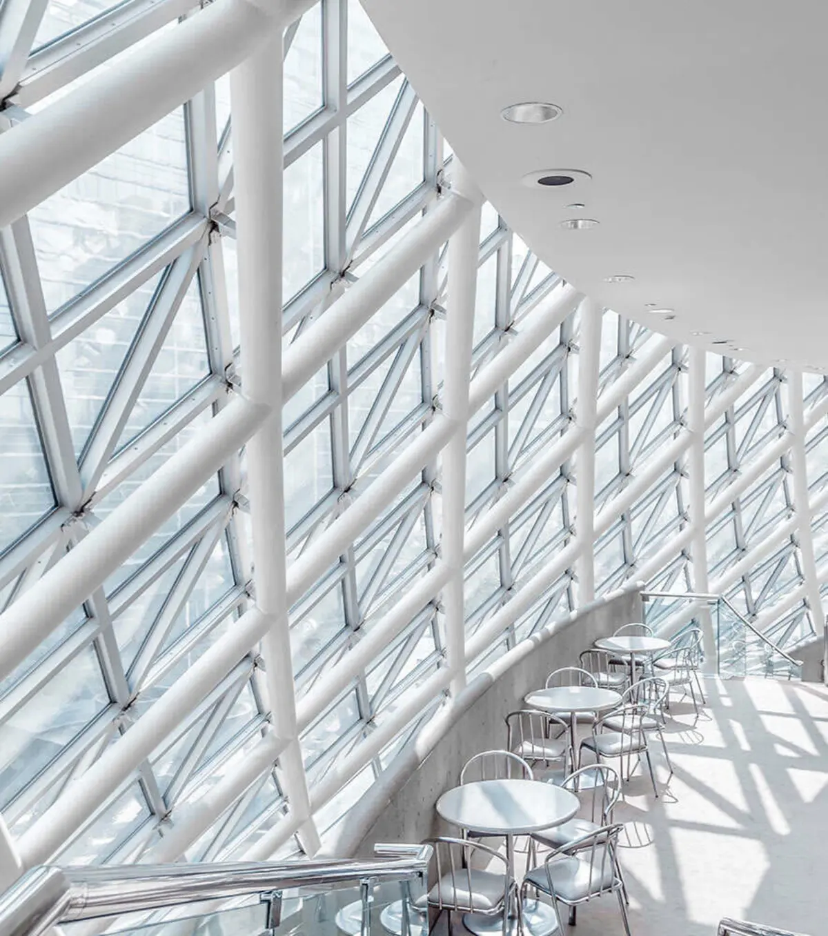 Daylit commercial interior beneath a glazed roof structure